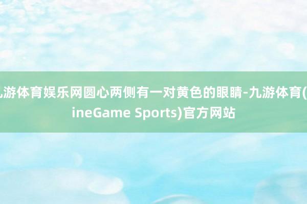 九游体育娱乐网圆心两侧有一对黄色的眼睛-九游体育(NineGame Sports)官方网站